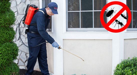Baskil Dezenfeksiyon böcek ilaçlama ve haşere kontrolü — ilaclama-tr.com